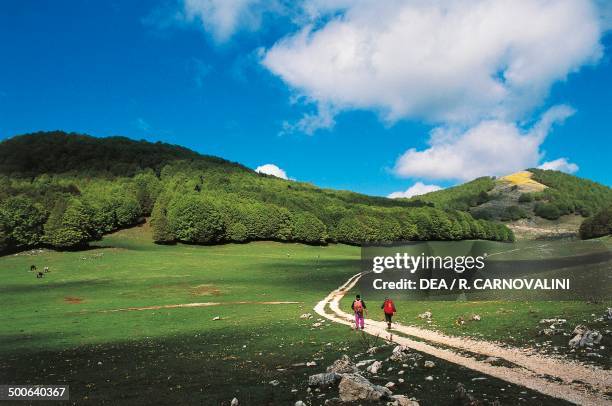 Path to Vallevona peak , Carseolani Mountains, Abruzzo, Italy.