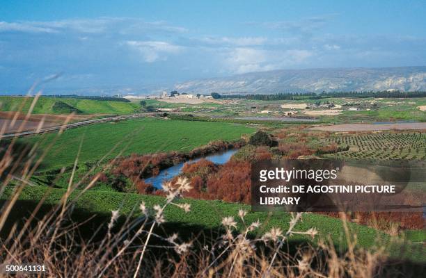 Crops in the valley of the Jordan River, Israel.