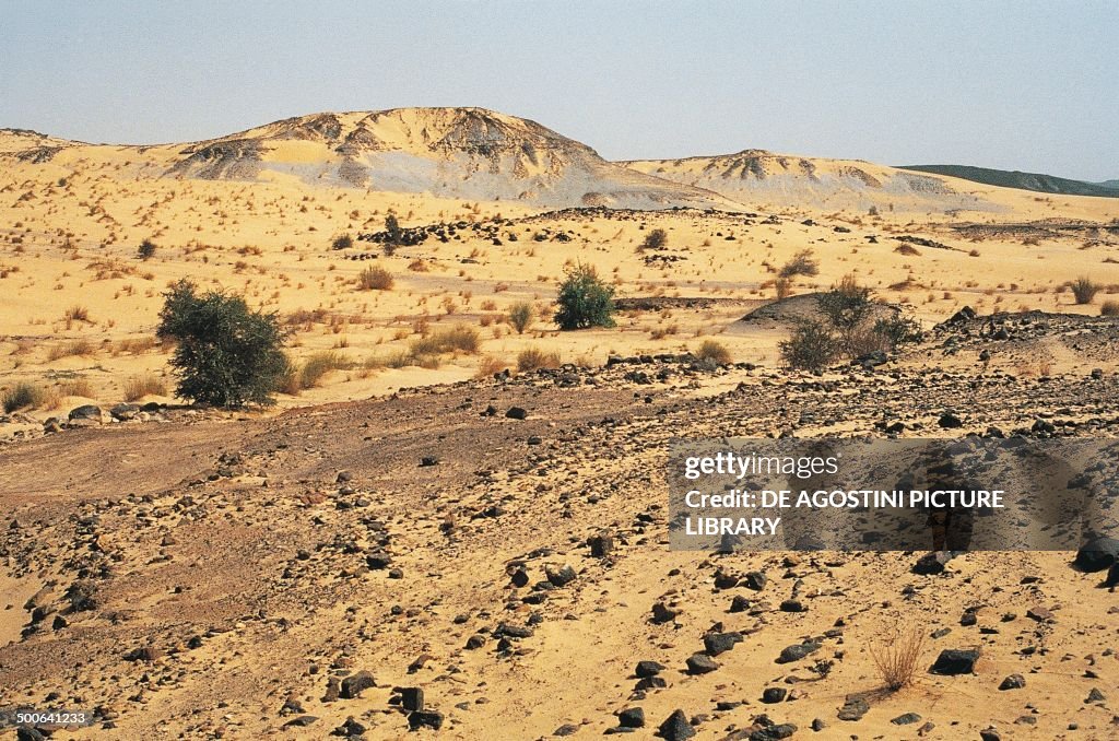 Desert landscape...