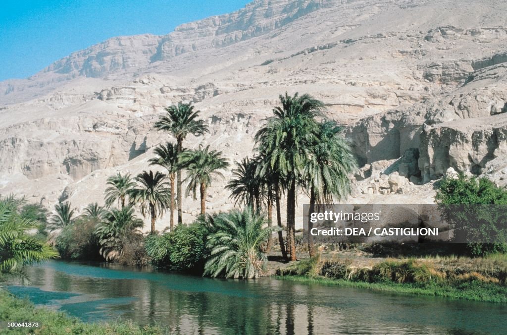 Palm trees on the Nile river...