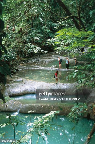 The Dulce River near Livingston, Peten Department, Guatemala.