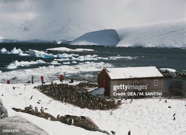 Penguins around the old British base of Port Lockroy, Goudier Island, Antarctic Peninsula, Antarctica.