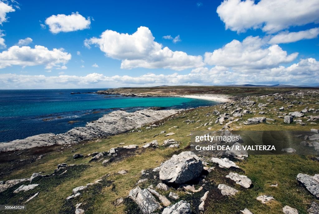 The northeast coast of Pebble Island...