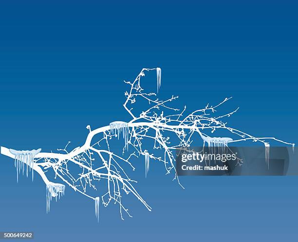 bildbanksillustrationer, clip art samt tecknat material och ikoner med winter tree with icicles - istapp