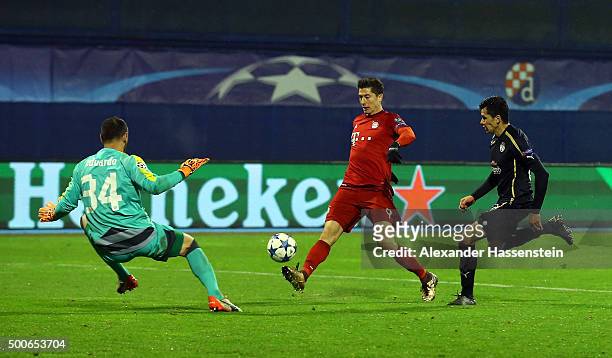 Robert Lewandowski chips Eduardo of Dinamo Zagreb to score the second Bayern Munich goal during the UEFA Champions League Group F match between GNK...