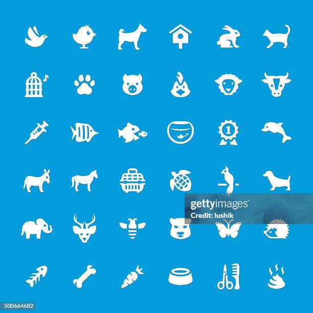 pets vector icons set - freshwater turtle stock illustrations