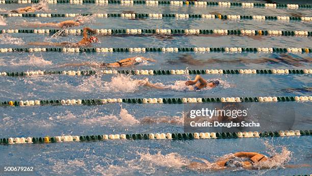 race event in the pool - torneo de natación fotografías e imágenes de stock