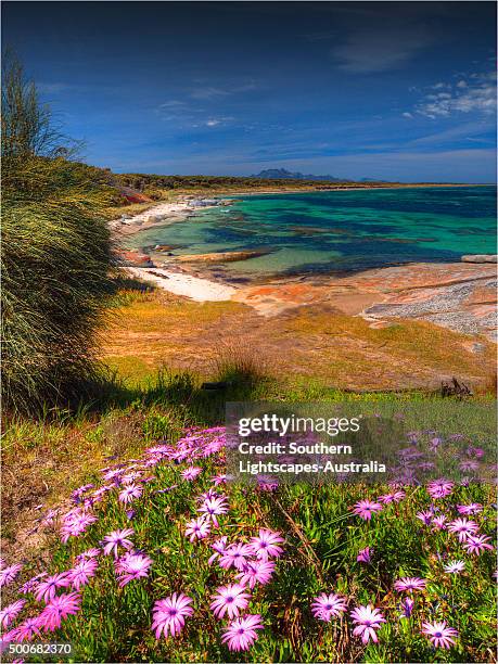 Blue Rocks Flinders 12 Whitemark Flinders Stock Photos, High-Res Pictures, and Images ...