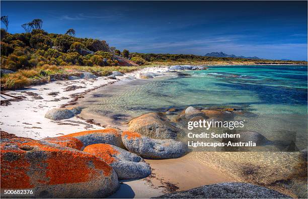 Blue Rocks Flinders Flinders Island Photos and Premium High Res Pictures - Getty Images