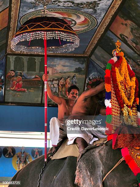 Elephant Welcome Ritual 224 Elephant Blessing Ceremony Stock Photos, High-Res Pictures, and ...