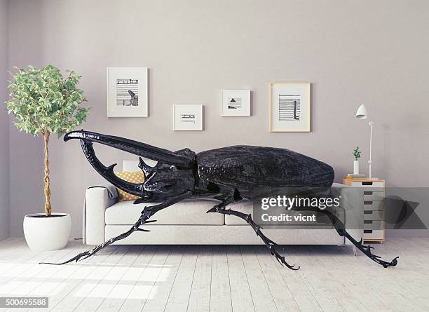 the beetle in the  room