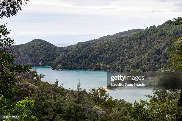 overview of bark bay at high tide, abel tasman national park - tasman district new zealand stock pictures, royalty-free photos & images