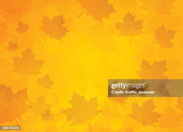 autumn background - fall backgrounds stock illustrations