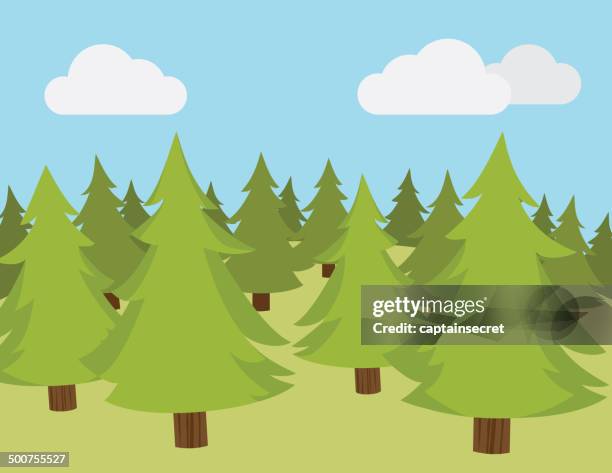 pine tree forest - summer christmas stock illustrations