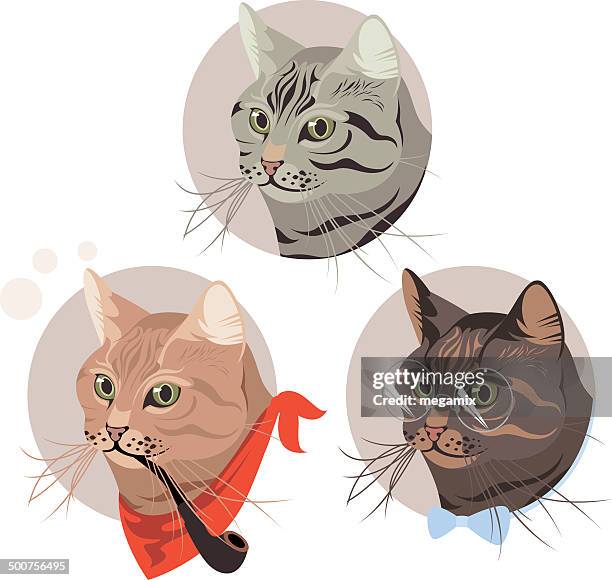 cats. - cat human face stock illustrations