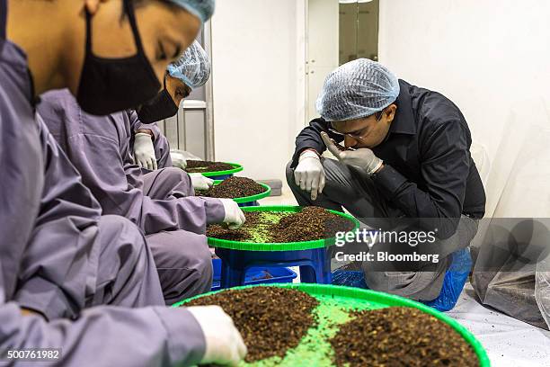 Kausal Dugar, founder and chief executive officer of Teabox, examines the quality of a sample of tea while workers sort tea leaves at the company's...