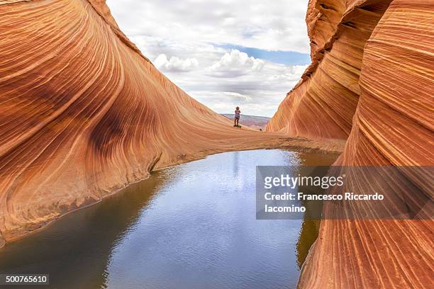 the wave, arizona, usa - the wave coyote buttes stock pictures, royalty-free photos & images
