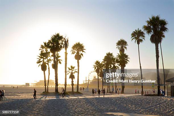 venice beach, ca at sunset - beach and palm trees stock-fotos und bilder
