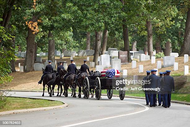 carriage pulling casket to military cemetery - arlington national cemetery stock pictures, royalty-free photos & images