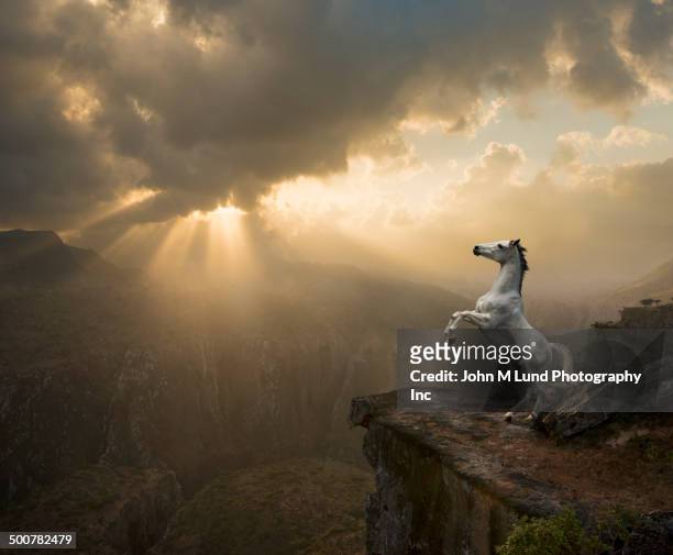 horse rearing up on hind legs on rocky cliff - royalty free stock-fotos und bilder