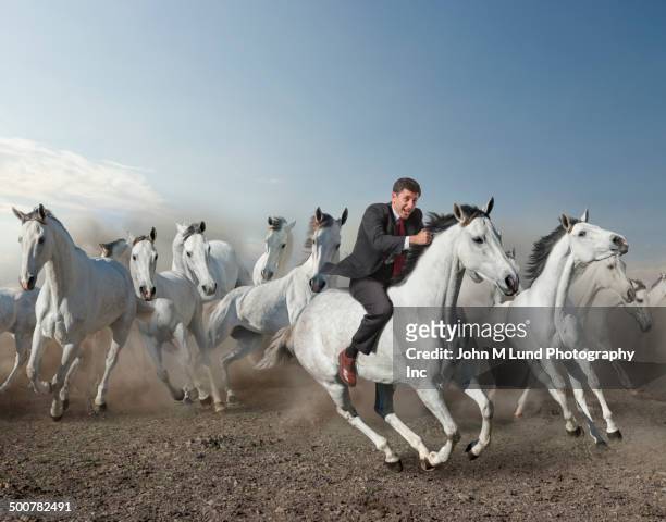caucasian businessman riding wild horse in desert - arabic horse stock-fotos und bilder