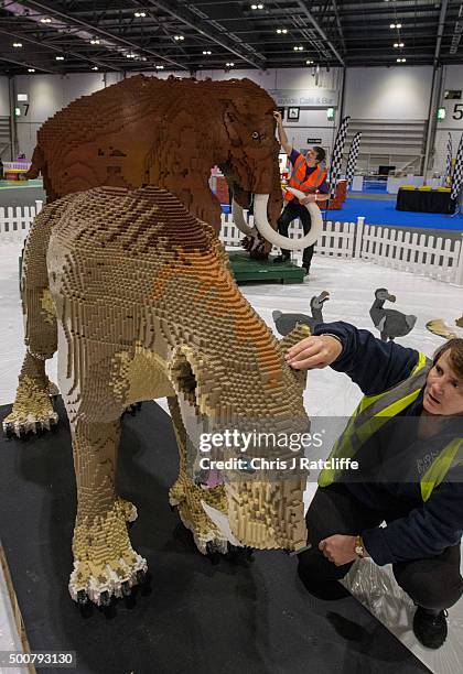 Husband and wife Annie Diment and Ed Diment, put the final bricks in place on their Ice Age display, with a Lego wolly mammouth made from 400,000...