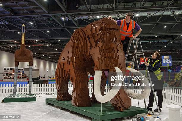 Husband and wife Annie Diment and Ed Diment, put the final bricks in place on their Ice Age display, with a Lego wolly mammouth made from 400,000...