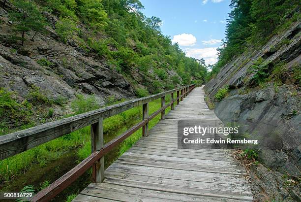 hiking trail - chesapeake and ohio canal national park stock pictures, royalty-free photos & images