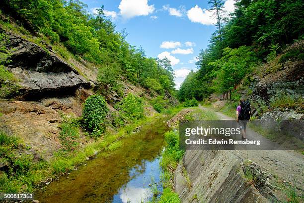 man hiking along c&o canal - chesapeake and ohio canal national park stock pictures, royalty-free photos & images