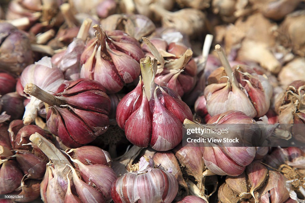 Close-up of garlic