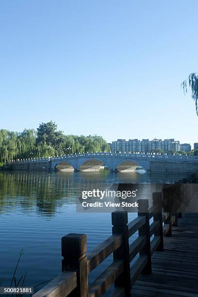 144 Ran In Ting Stock Photos, High-Res Pictures, and Images - Getty Images