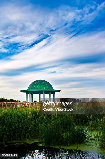daqing,heilongjiang,china - igloo isolated stock pictures, royalty-free photos & images