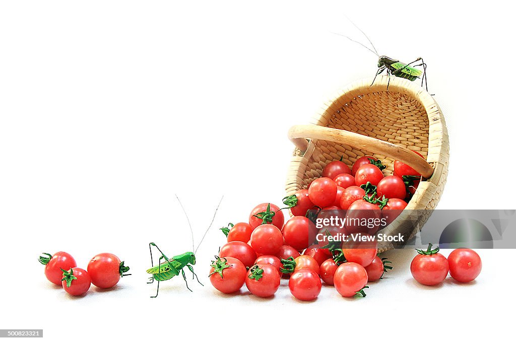 Tomatoes,close-up