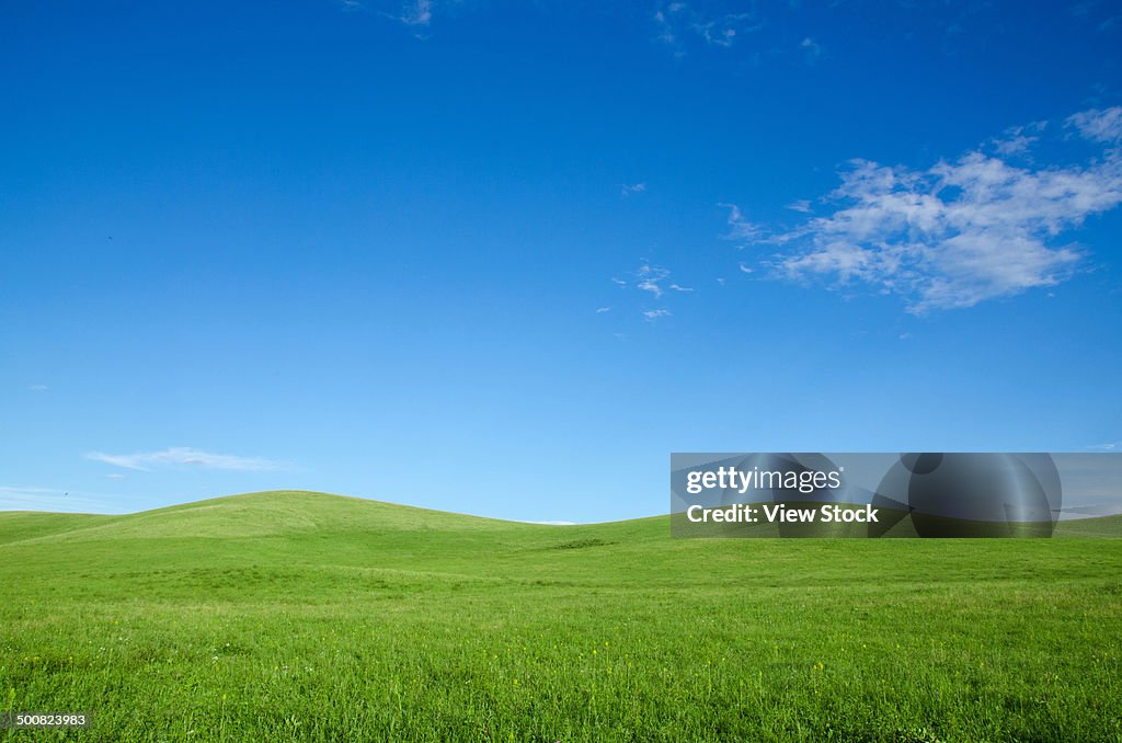 Inner Mongolia,China