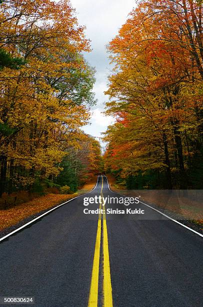 Scenic Tree Lined Country Road In The Catskill Mountains Of