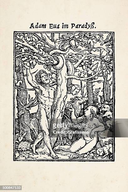 eve offering apple to adam in garden eden after holbein - eve biblical figure stock illustrations