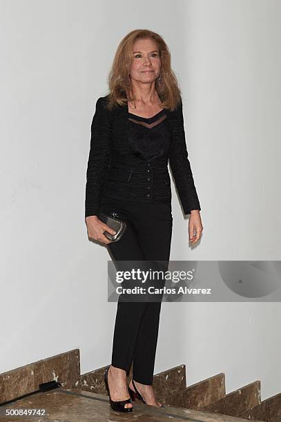 Alicia Koplowitz attends the "Mariano De Cavia" awards on December 10, 2015 in Madrid, Spain.