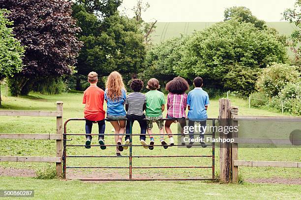 group of friends sitting on a gate in a field - group of children fotografías e imágenes de stock