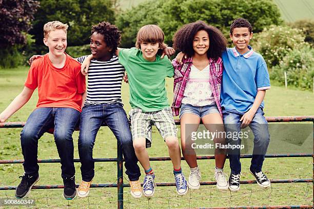 group of friends sitting on a gate in a field - pré adolescente imagens e fotografias de stock
