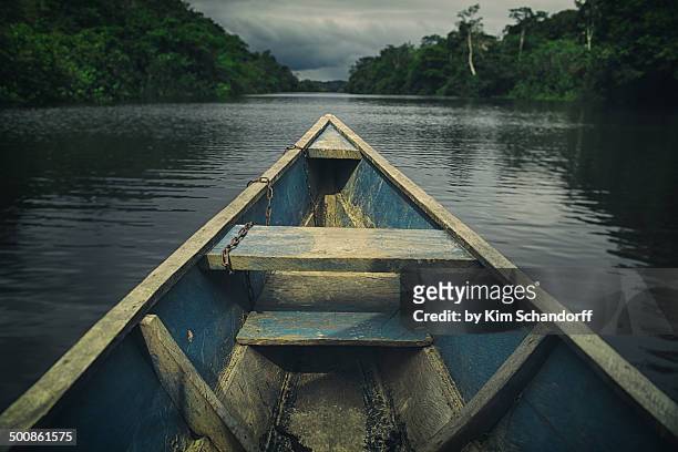 sailing on the amazon river - amazonia fotografías e imágenes de stock