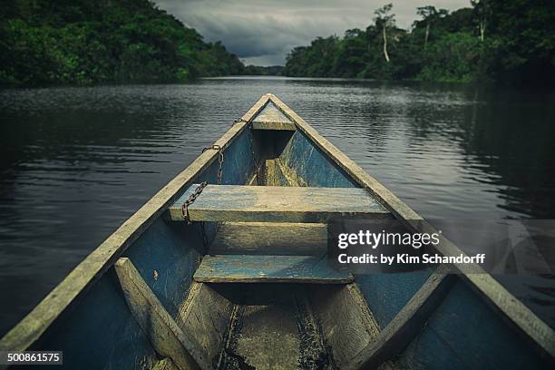 sailing on the amazon river - amazon jungle photos et images de collection