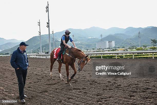 Trainer David Hayes walks beside Craig Williams riding Criterion from Australia on the All Weather Track after a trackwork session at Sha Tin...
