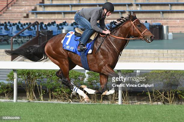 Ryan Moore riding Maurice from Japan on the grass during a trackwork session at Sha Tin Racecouse on December 11, 2015 in Hong Kong, Hong Kong.