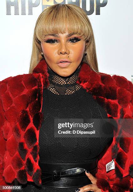 Lil' Kim attends as WE tv Celebrates The Premiere Of New Series Growing Up Hip Hop on December 10, 2015 in New York City.