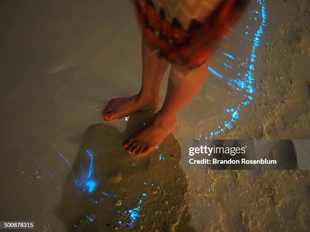 Bioluminescent phytoplankton