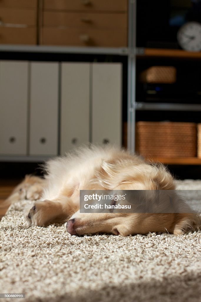 Sleepy