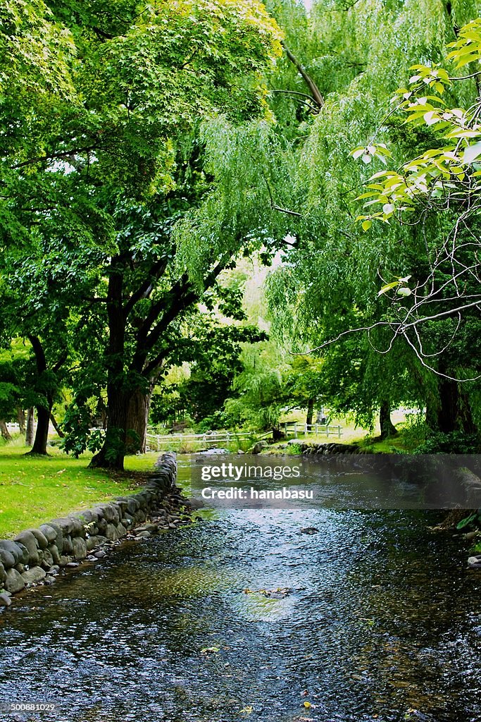 Green and stream