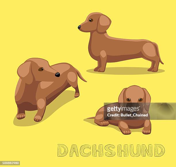 Dog Dachshund Cartoon Vector Illustration High-Res Vector Graphic - Getty  Images