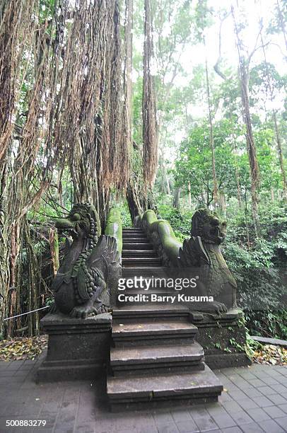 ubud monkey forest. - ubud monkey forest stock pictures, royalty-free photos & images