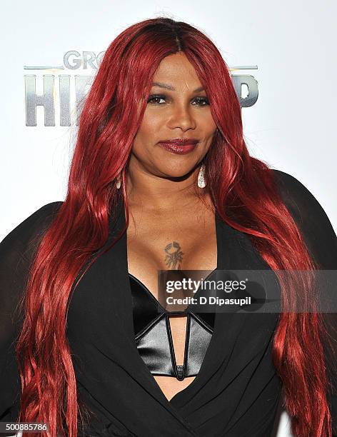 Sandra "Pepa" Denton attends as WE tv Celebrates The Premiere Of New Series Growing Up Hip Hop on December 10, 2015 in New York City.